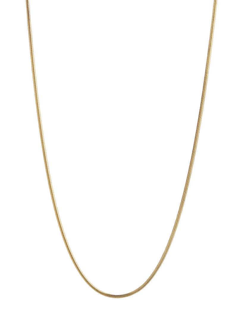 Daria 2.0 Slinky Necklace | Gold Filled