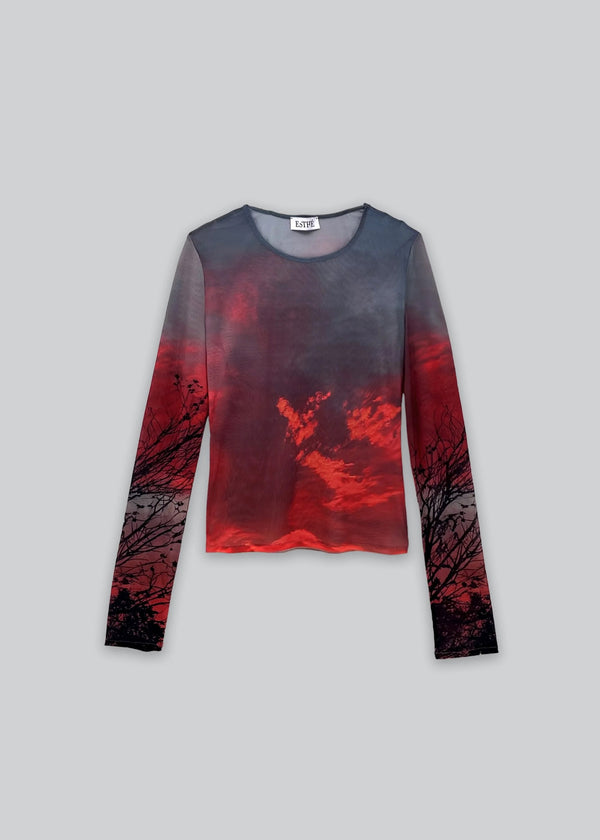 Mesh Long Sleeve Top | Crimson Dusk Print