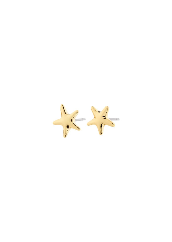 ANDRÉ Mini Star Studs | Gold-Plated