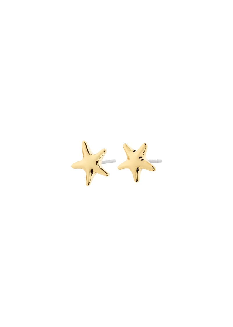 ANDRÉ Mini Star Studs | Gold-Plated